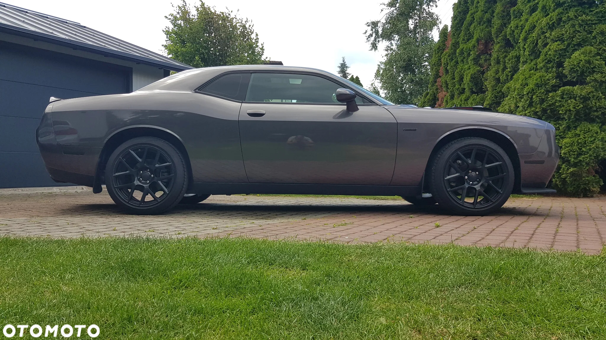 Dodge Challenger - 8
