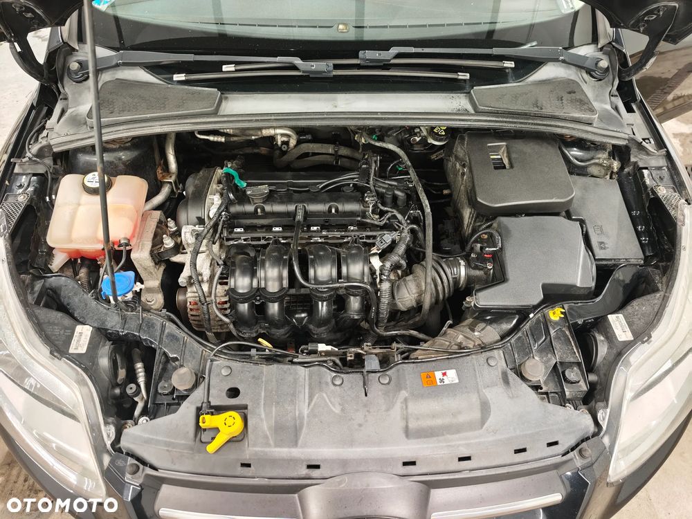 Ford Focus - 22