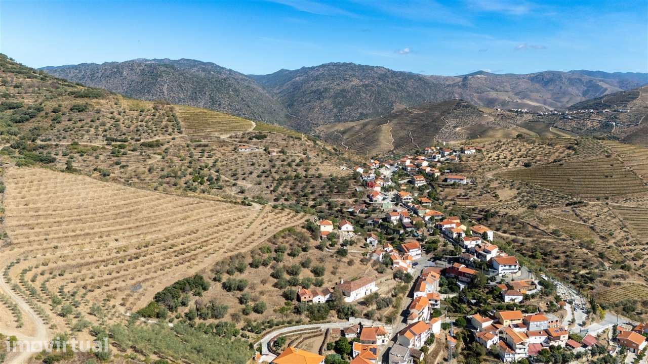 Quinta S. João da Pesqueira - Grande imagem: 5/60