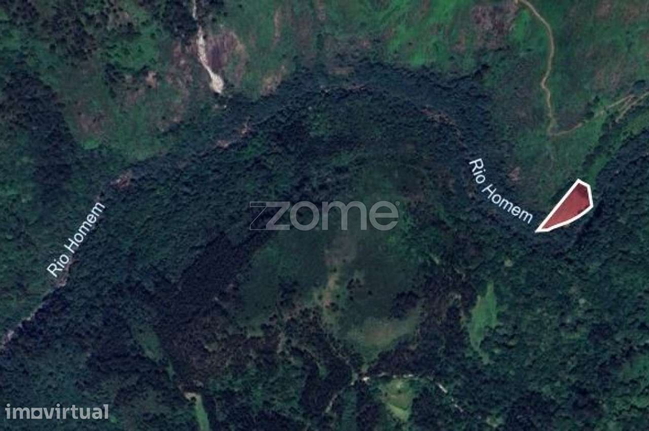 Terreno Rustico Gerês, de 10 000m2, a confrontar com Rio Homem - Grande imagem: 3/5