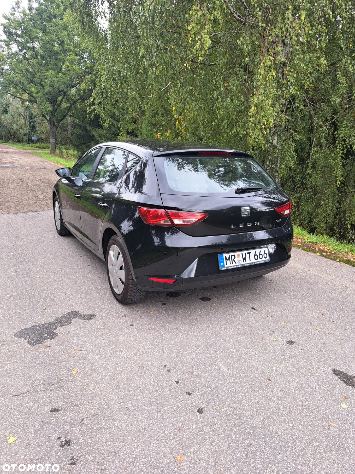 Seat Leon - 10