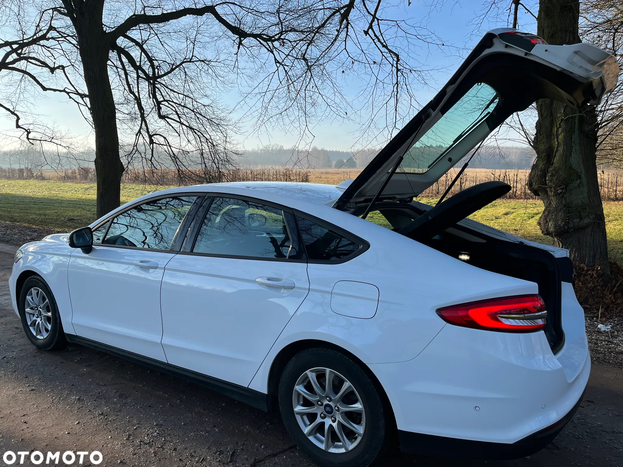 Ford Mondeo 2.0 EcoBlue Edition - 8