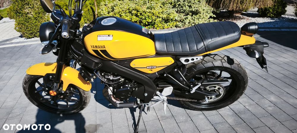 Yamaha XSR - 8