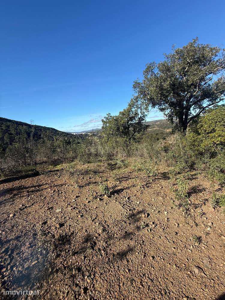 Terreno Rústico com Vista Deslumbrante em Porte Nobre, Querença, Loulé - Grande imagem: 4/6