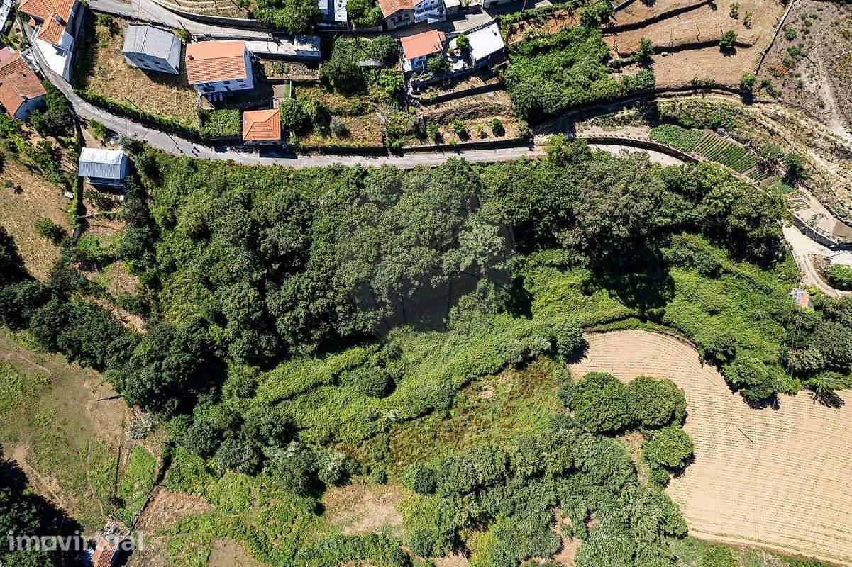 Quinta  para venda - Grande imagem: 2/8