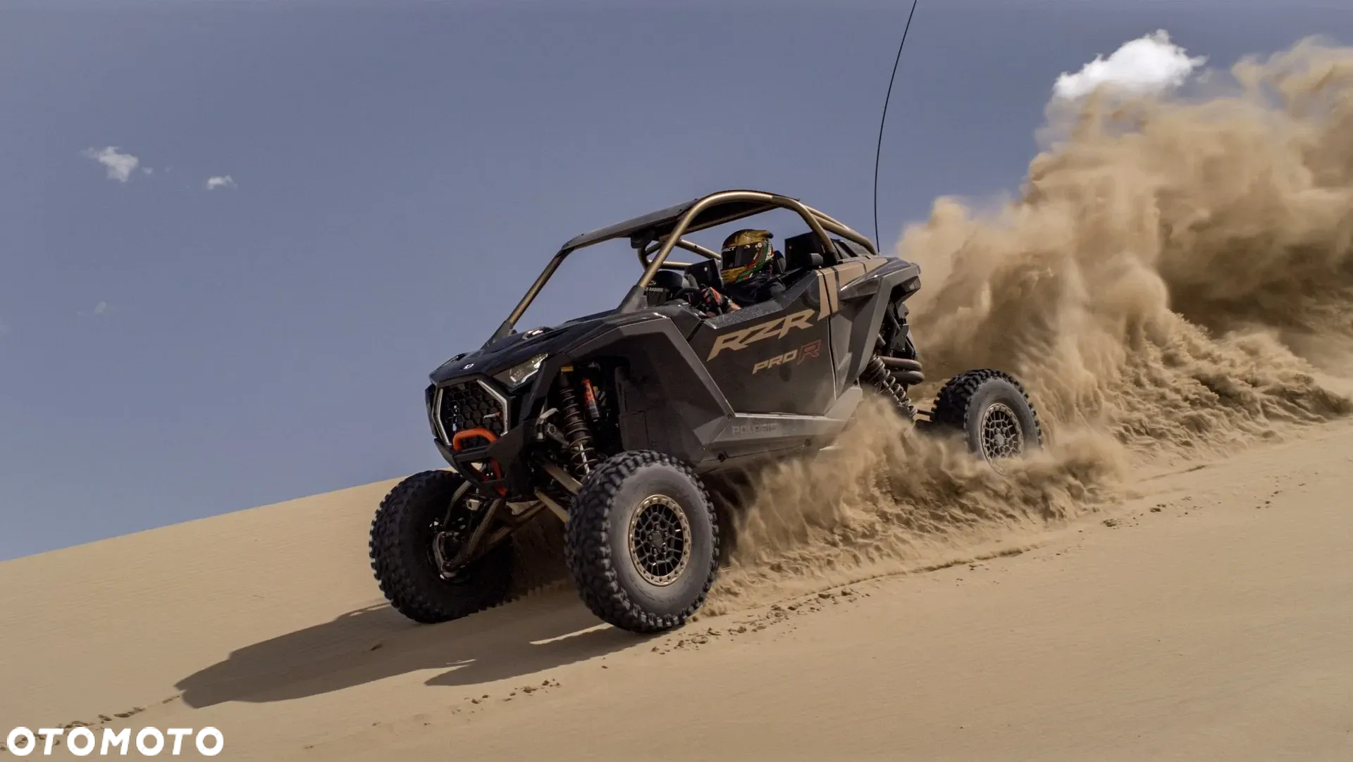 Polaris RZR - 9