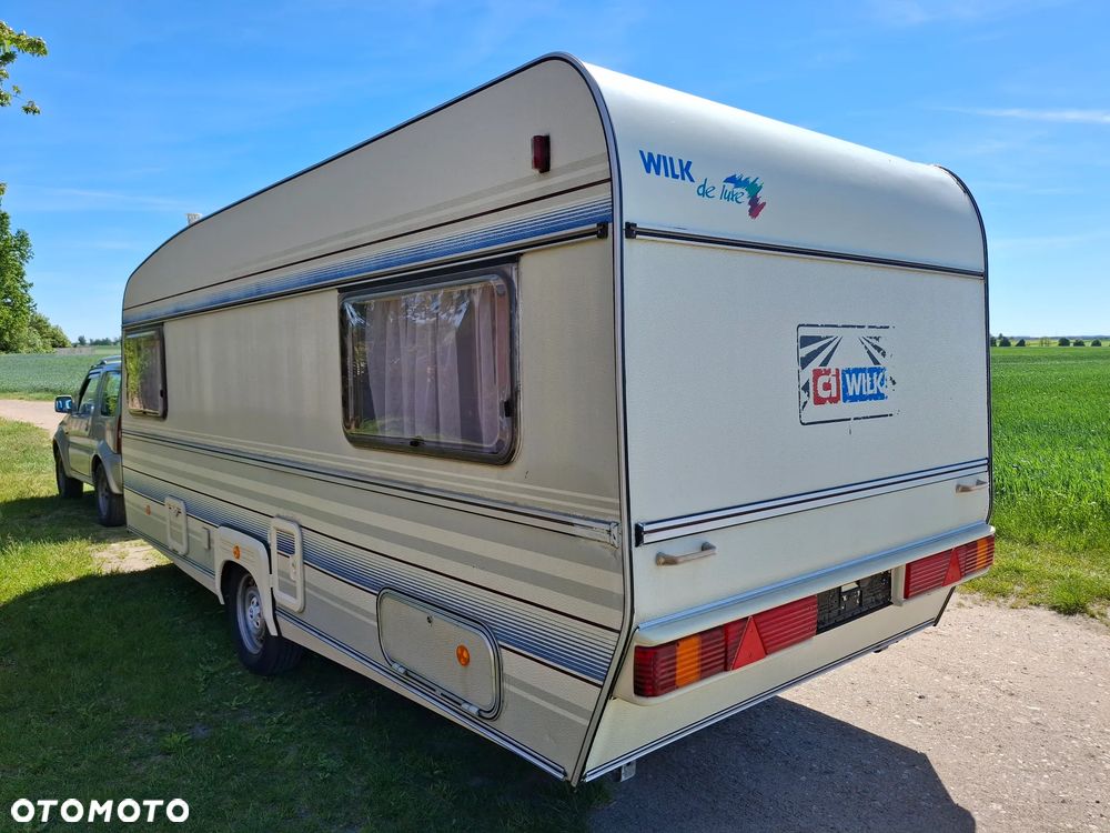Wilk - 20