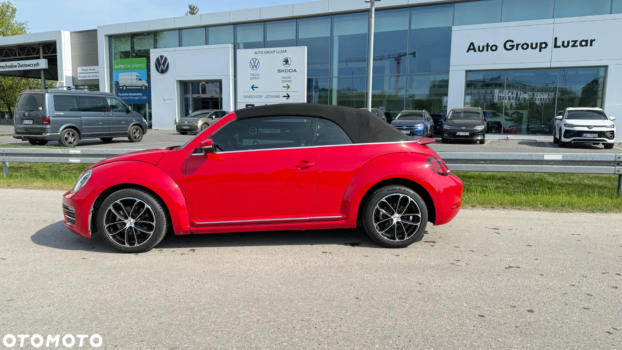 Volkswagen Beetle - 5