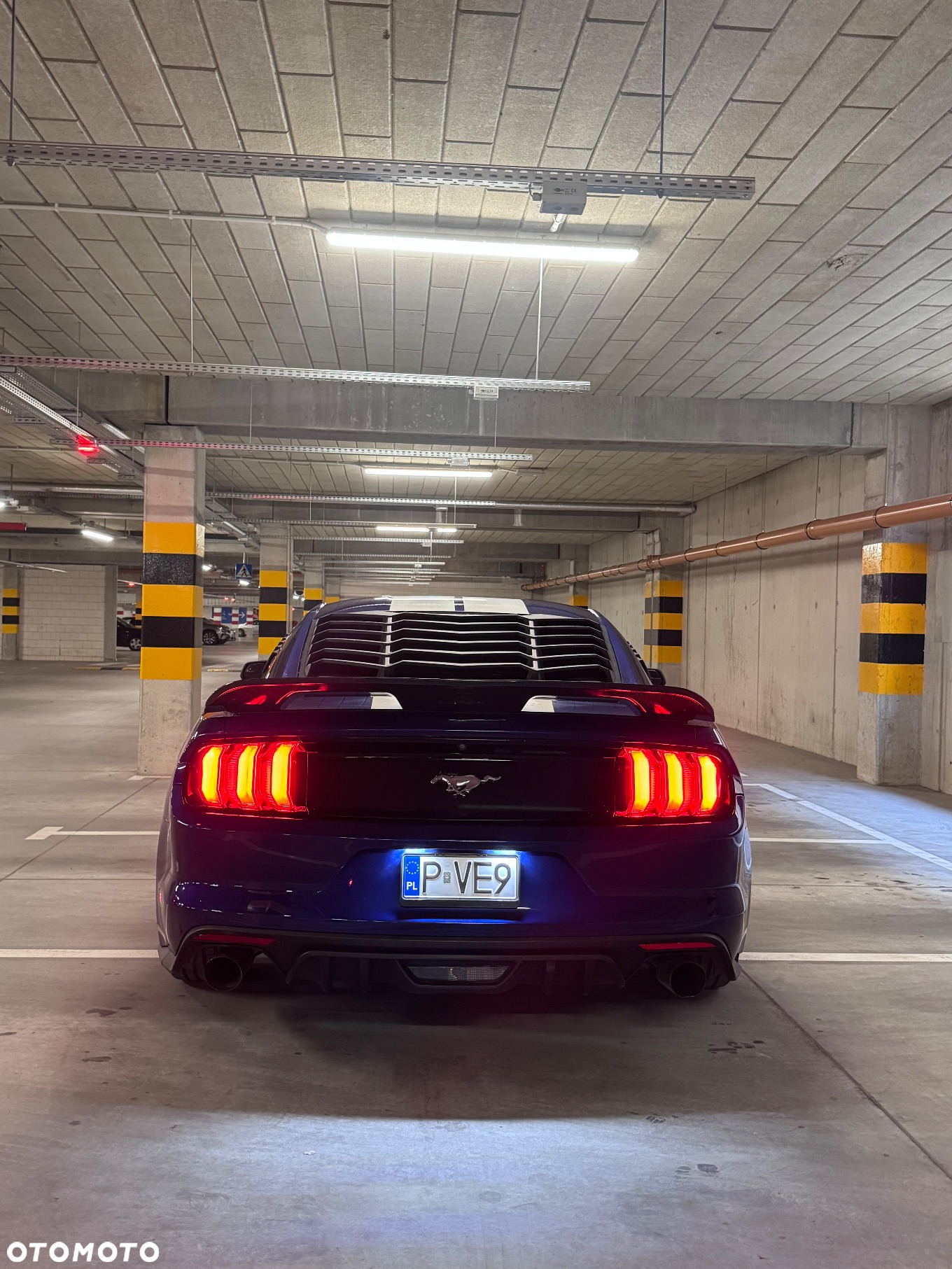 Ford Mustang 2.3 EcoBoost - 17