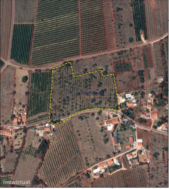Terreno Rústico com 22.480 m² - Grande imagem: 2/2