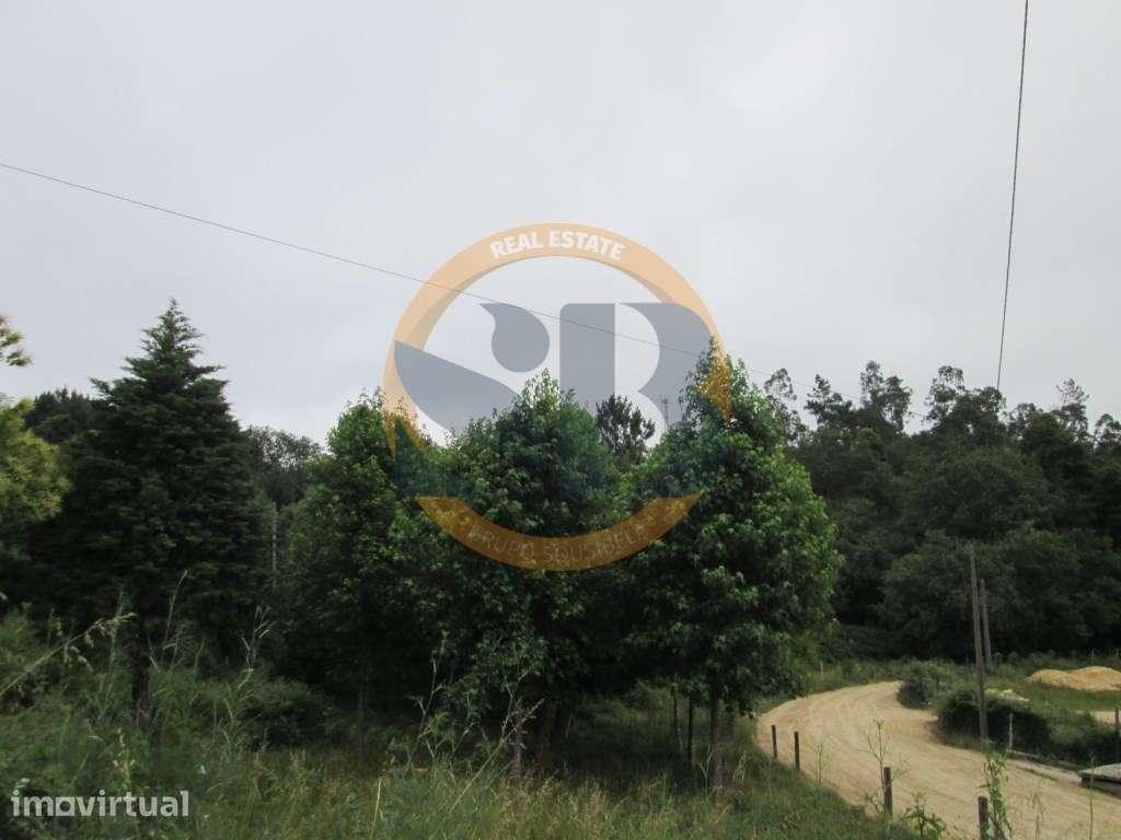 Terreno Vila de Cucujães - Grande imagem: 4/9