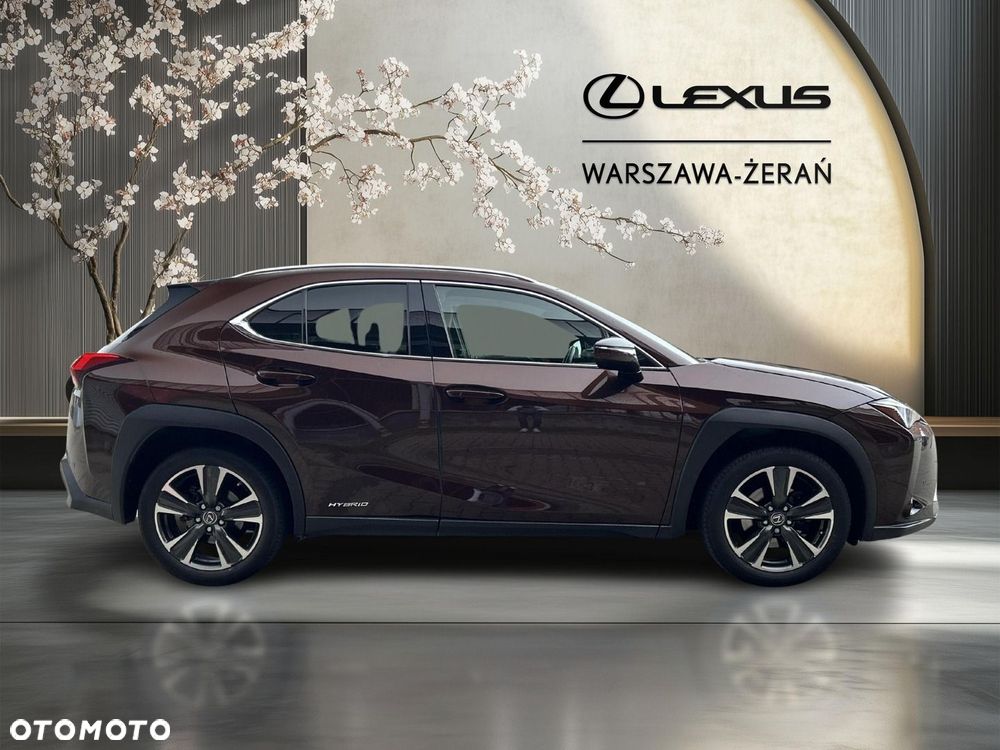 Lexus UX - 8