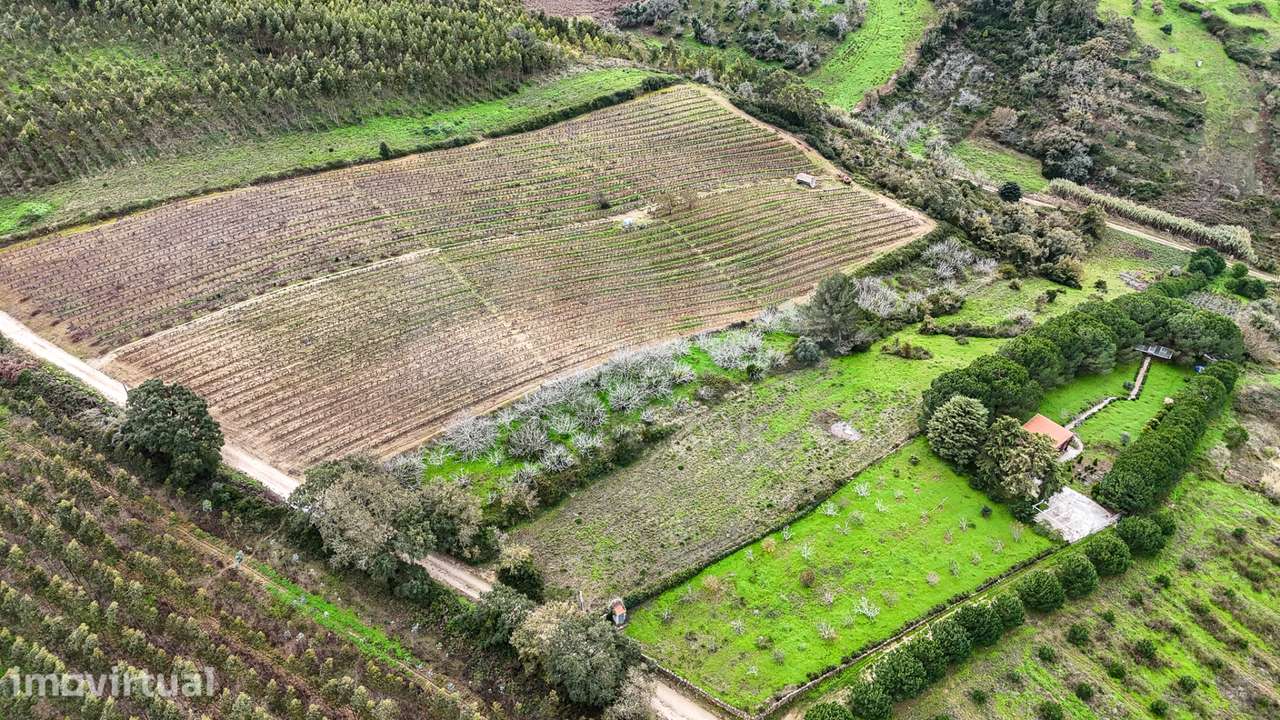 Terreno rustico na Pipa - Grande imagem: 4/12
