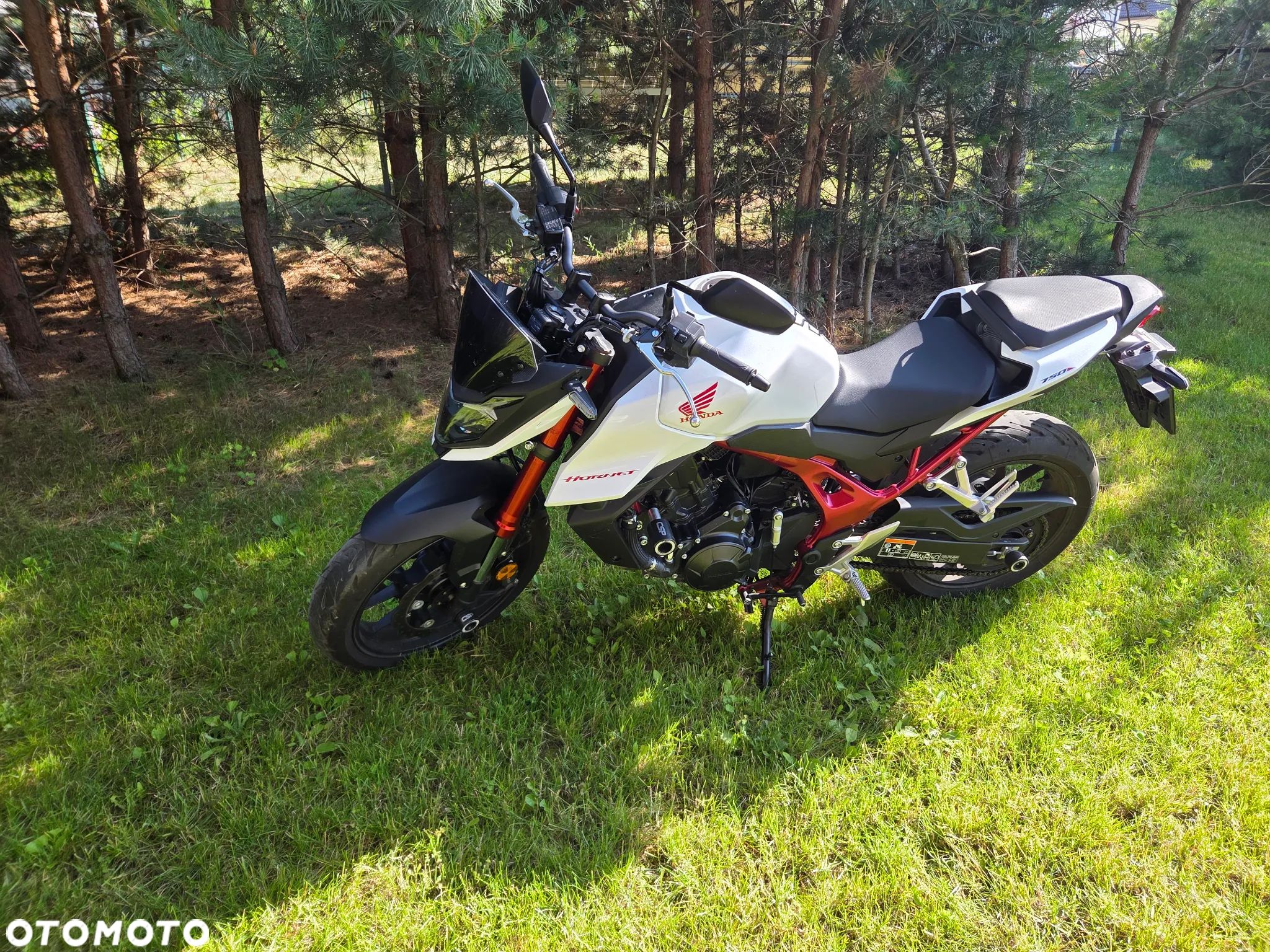 Honda Hornet - 1