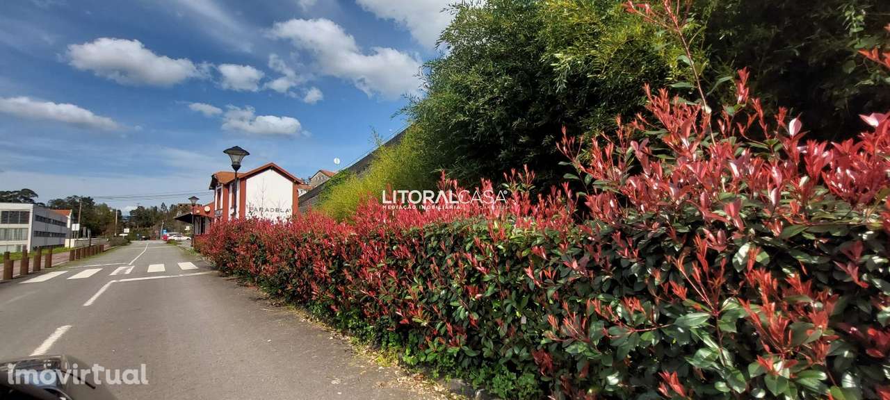 Terreno com ruína | Paradela - Grande imagem: 2/21