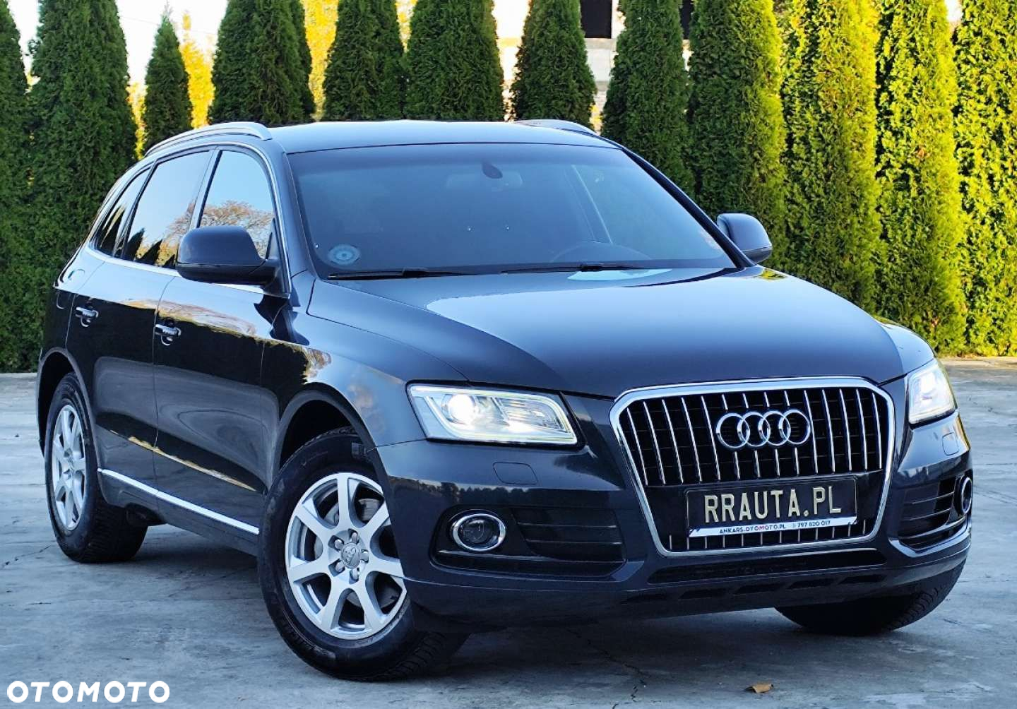 Audi Q5 - 2