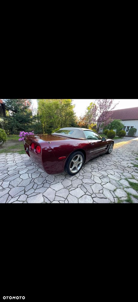 Chevrolet Corvette - 15