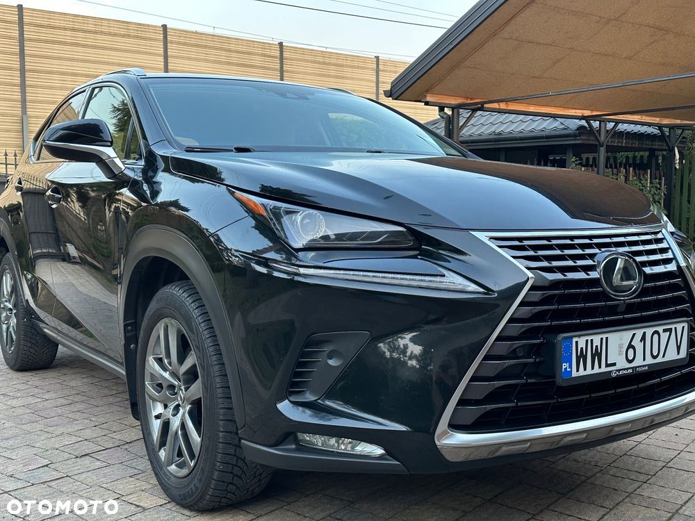 Lexus NX 300 Comfort AWD - 19