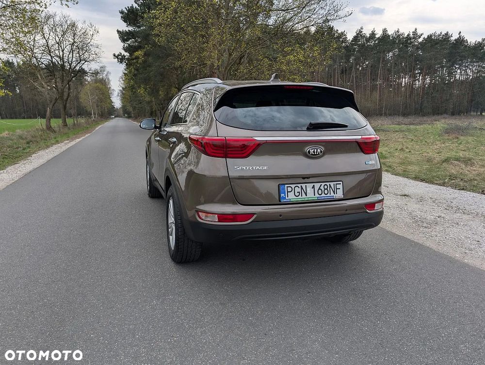 Kia Sportage 1.6 GDI L Business Line Plus 2WD - 14