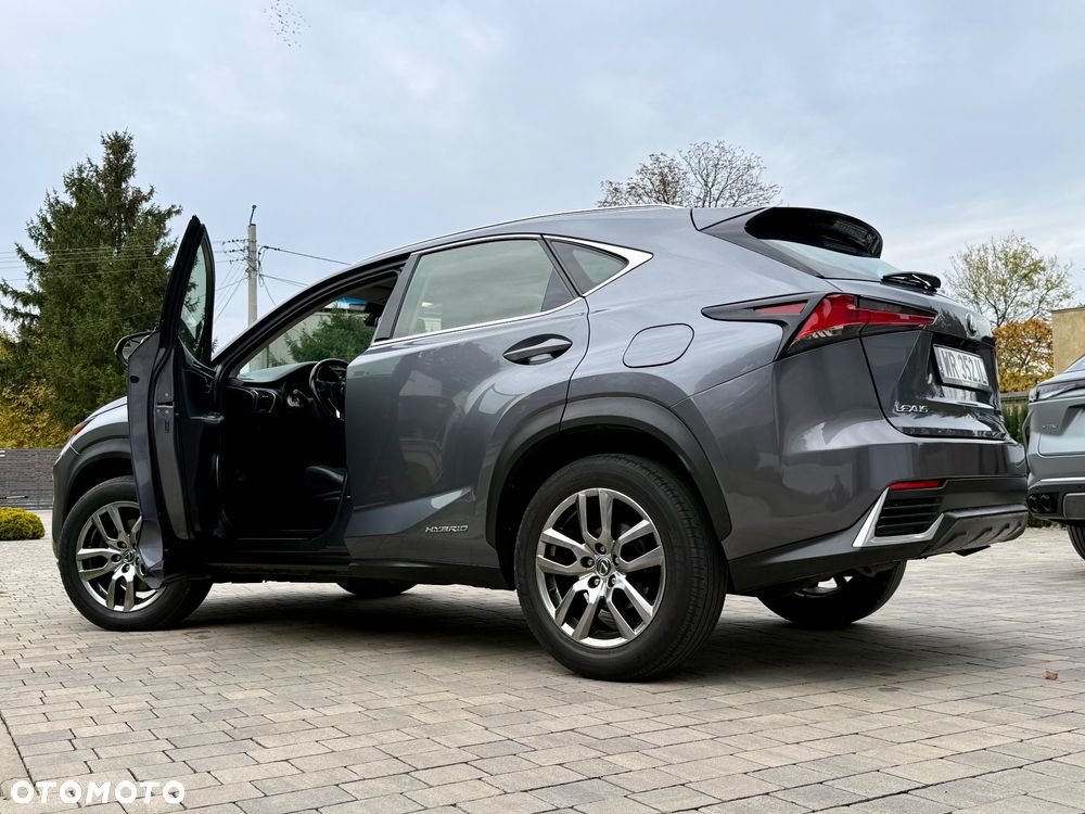 Lexus NX - 22