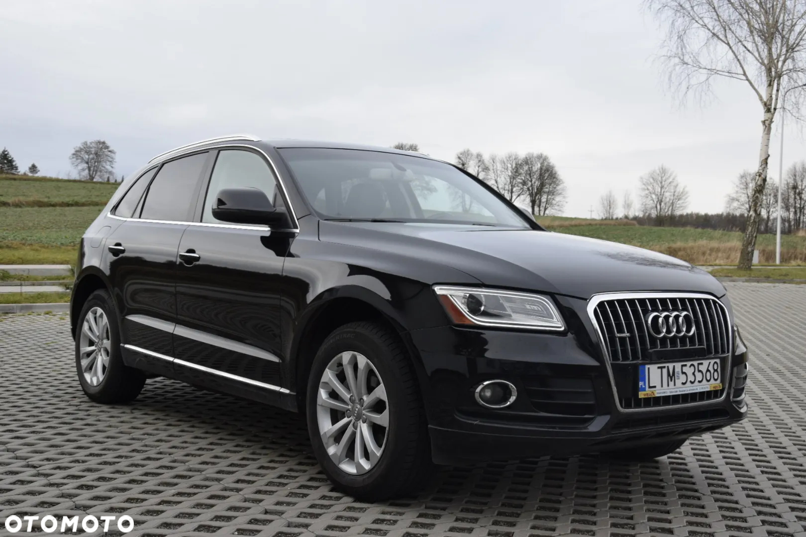 Audi Q5 - 26