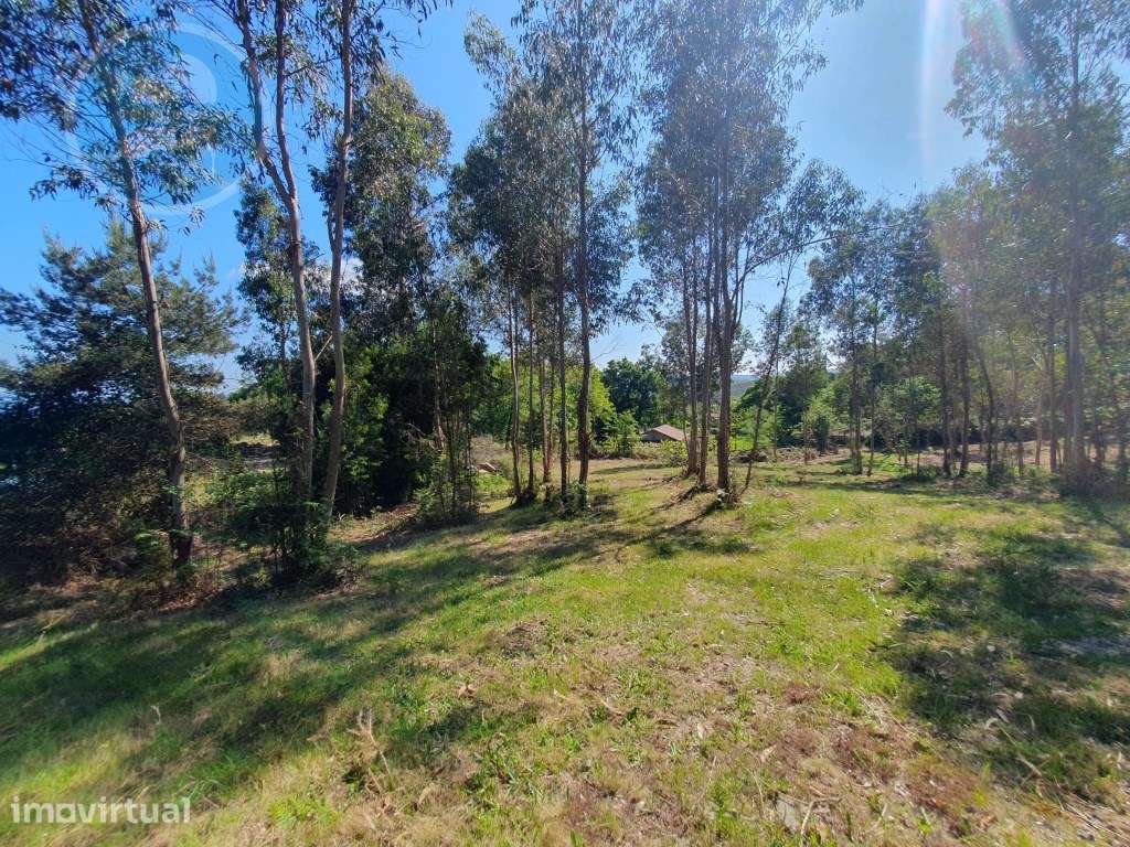 Terreno Construtivo em Vila Boa- Cabeceiras de Basto - Grande imagem: 2/10