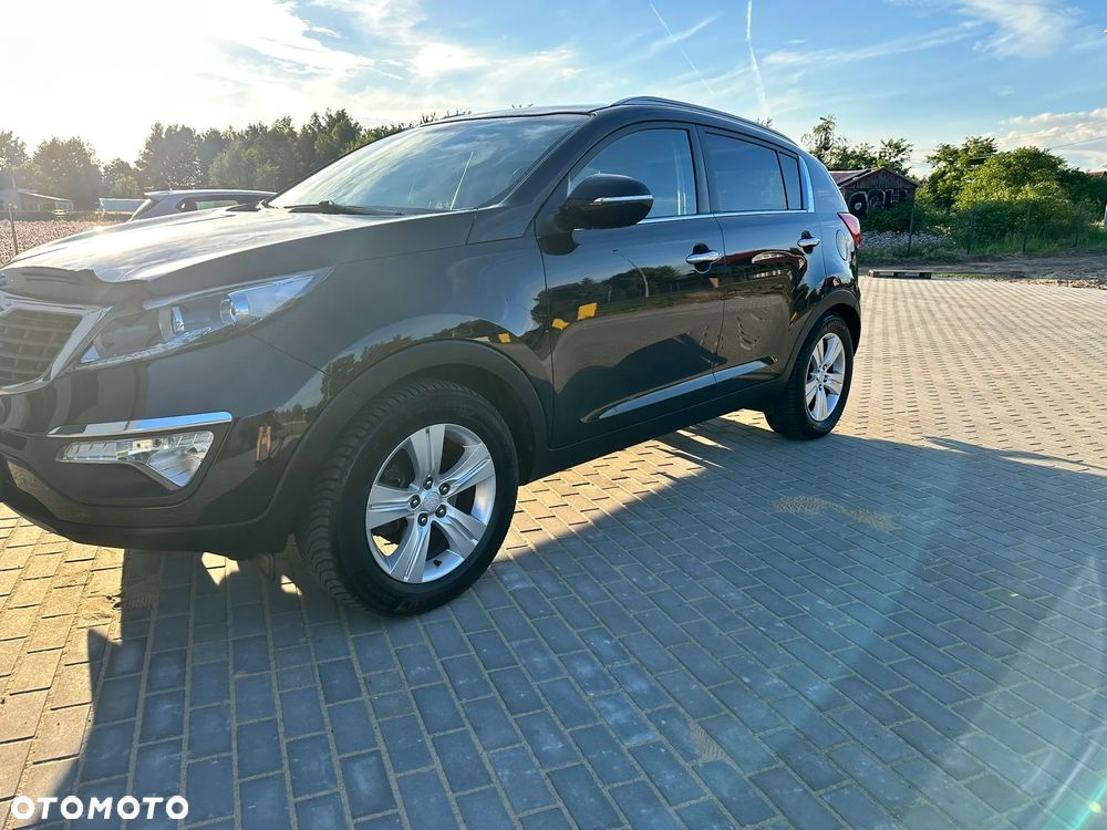 Kia Sportage 1.6 GDI L 2WD - 13