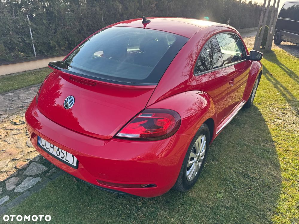 Volkswagen Beetle - 8