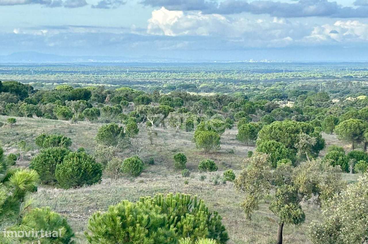 Terreno Rústico com 18 Hectares - Grande imagem: 2/22