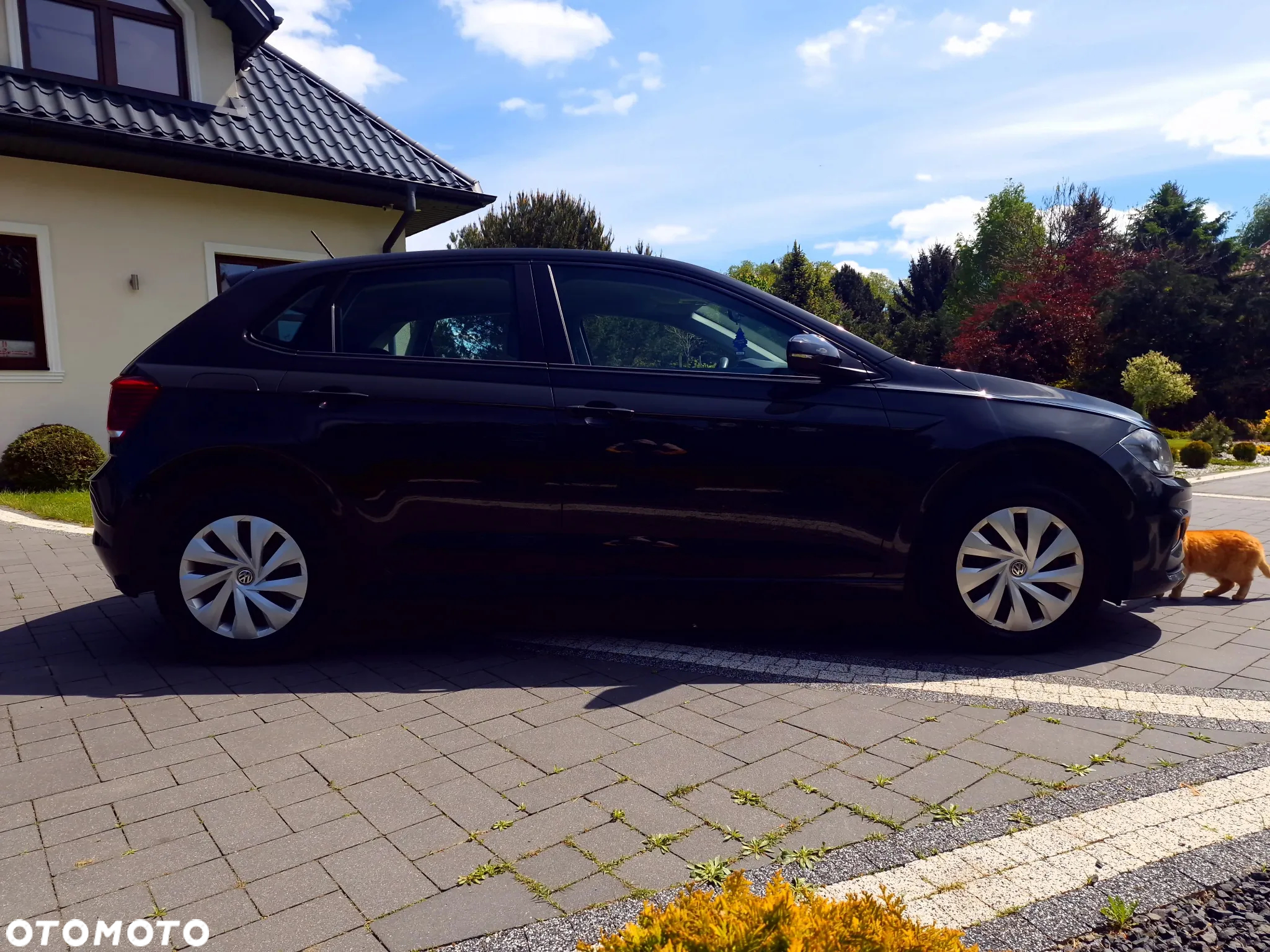Volkswagen Polo 1.6 TDI SCR Trendline - 15