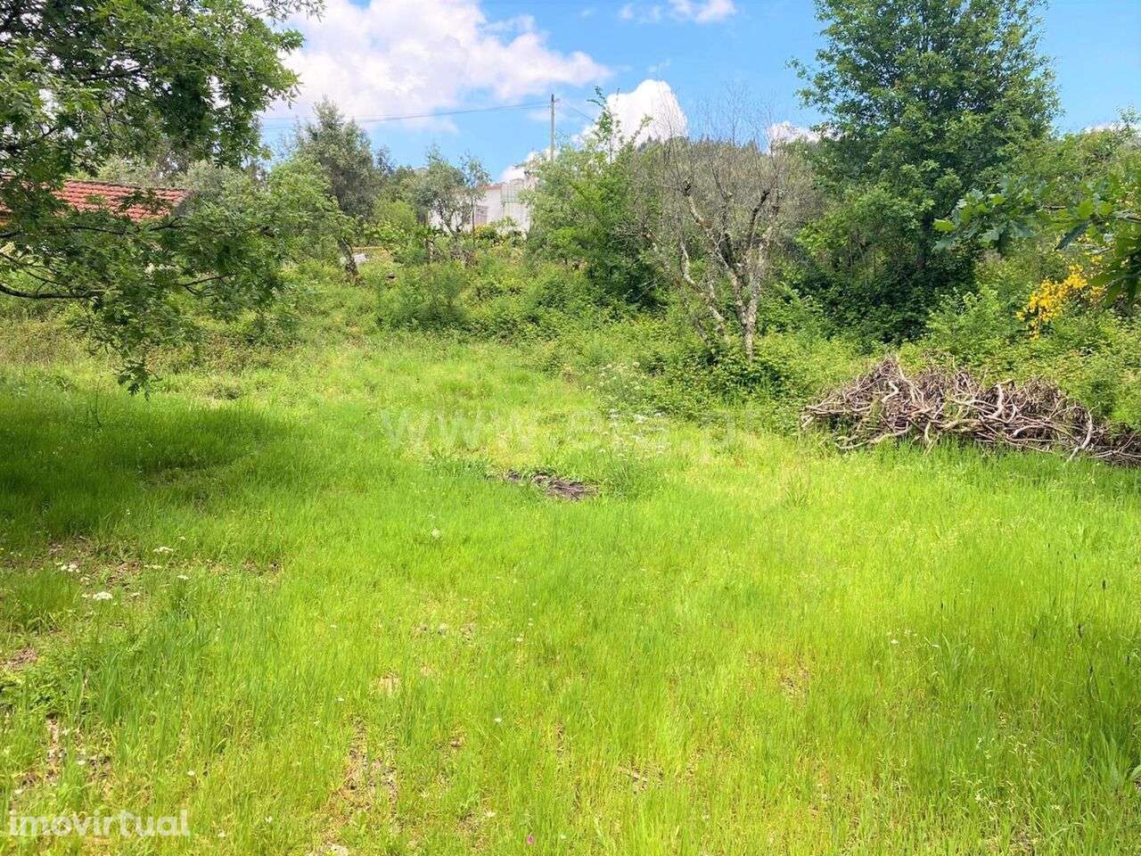 Terreno com ruina / Marco de Canaveses, Soalhães - Grande imagem: 5/6