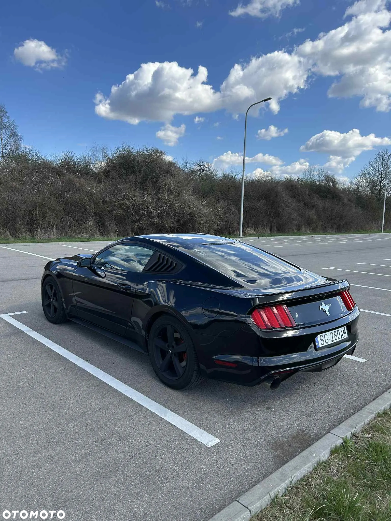 Ford Mustang 3.7 V6 - 5