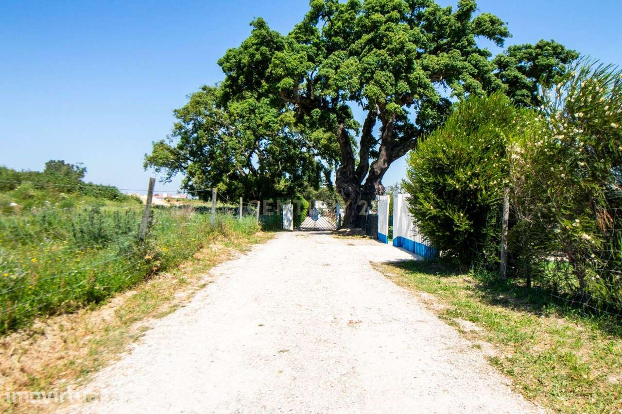 Herdade de 26 000 m2 exclusiva no Penteado – Natureza, Privacidade e R - Grande imagem: 5/22