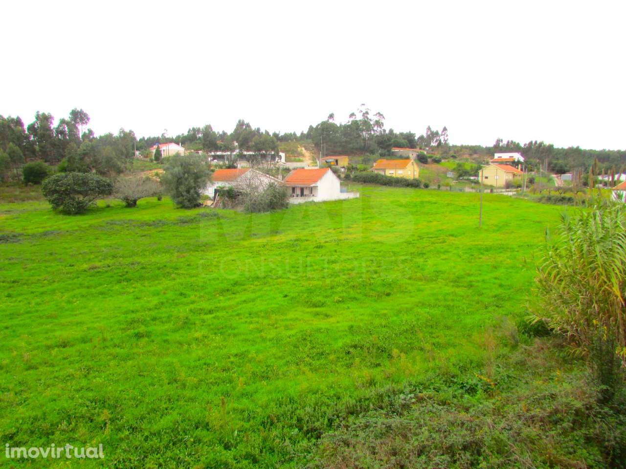Terreno Urbanizável - 1,7ha - Torres Vedras - Ramalhal - Grande imagem: 2/7