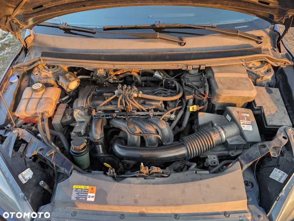 Ford Focus 1.6 FX Gold / Gold X - 20