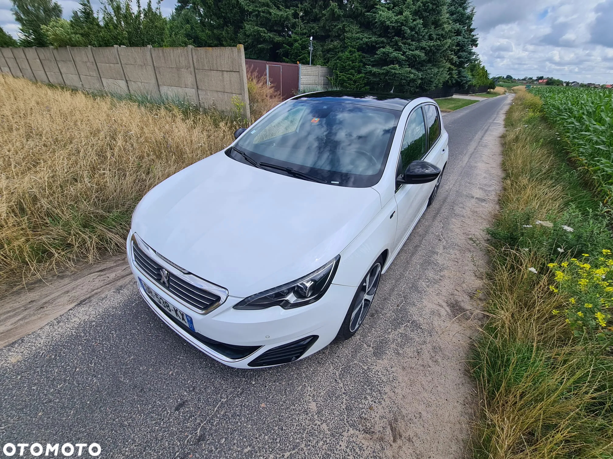 Peugeot 308 BlueHDi 180 EAT6 GT - 3