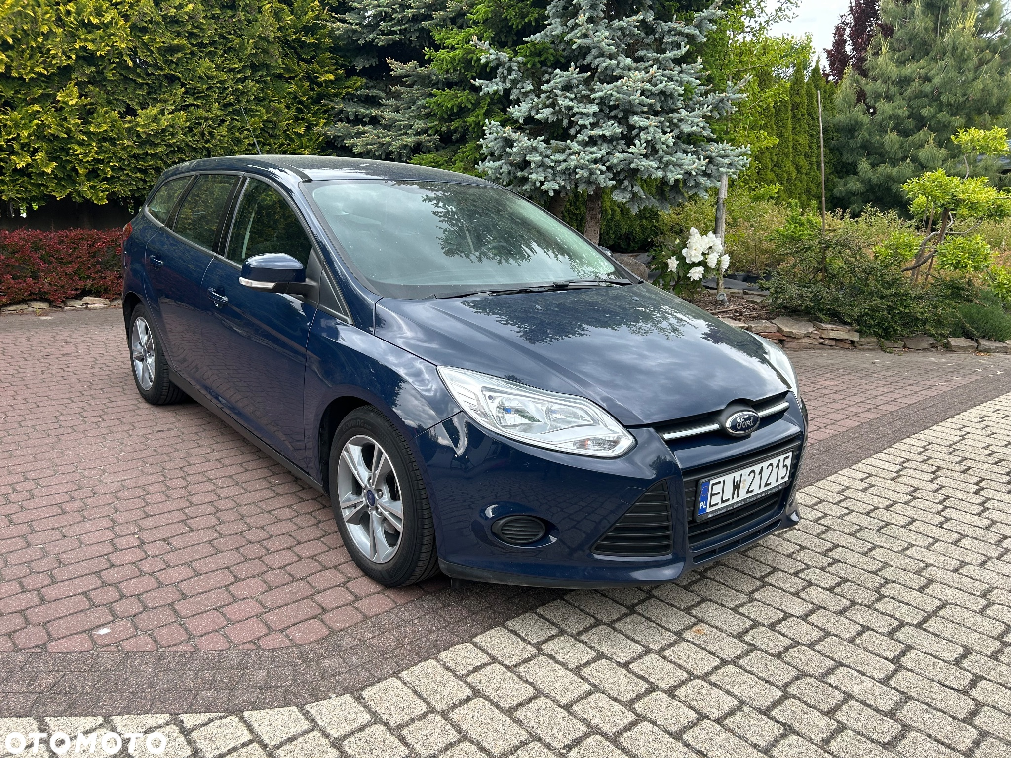 Ford Focus 1.6 TDCi Trend - 2
