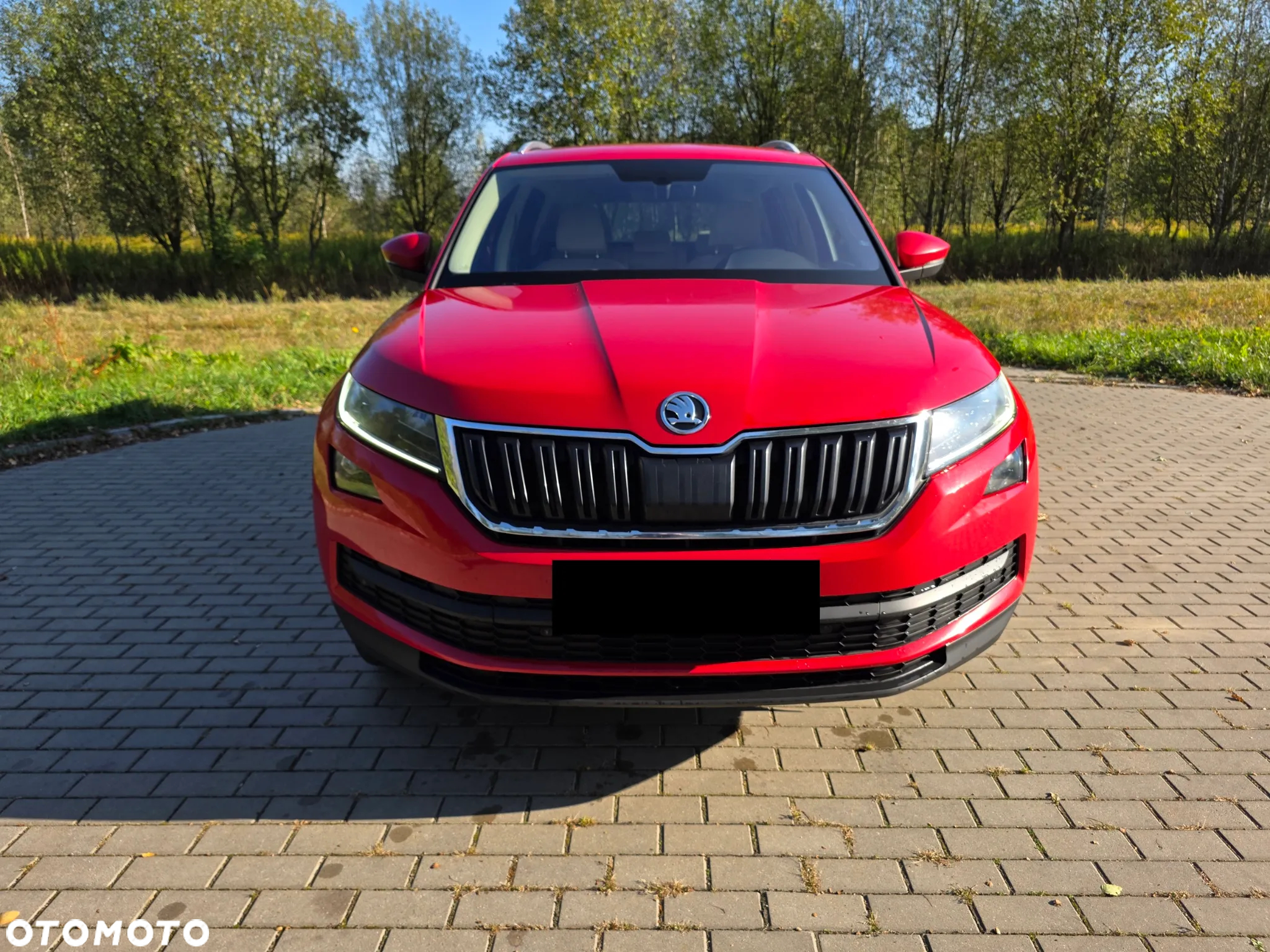 Skoda Kodiaq 2.0 TSI 4x4 Style DSG - 6