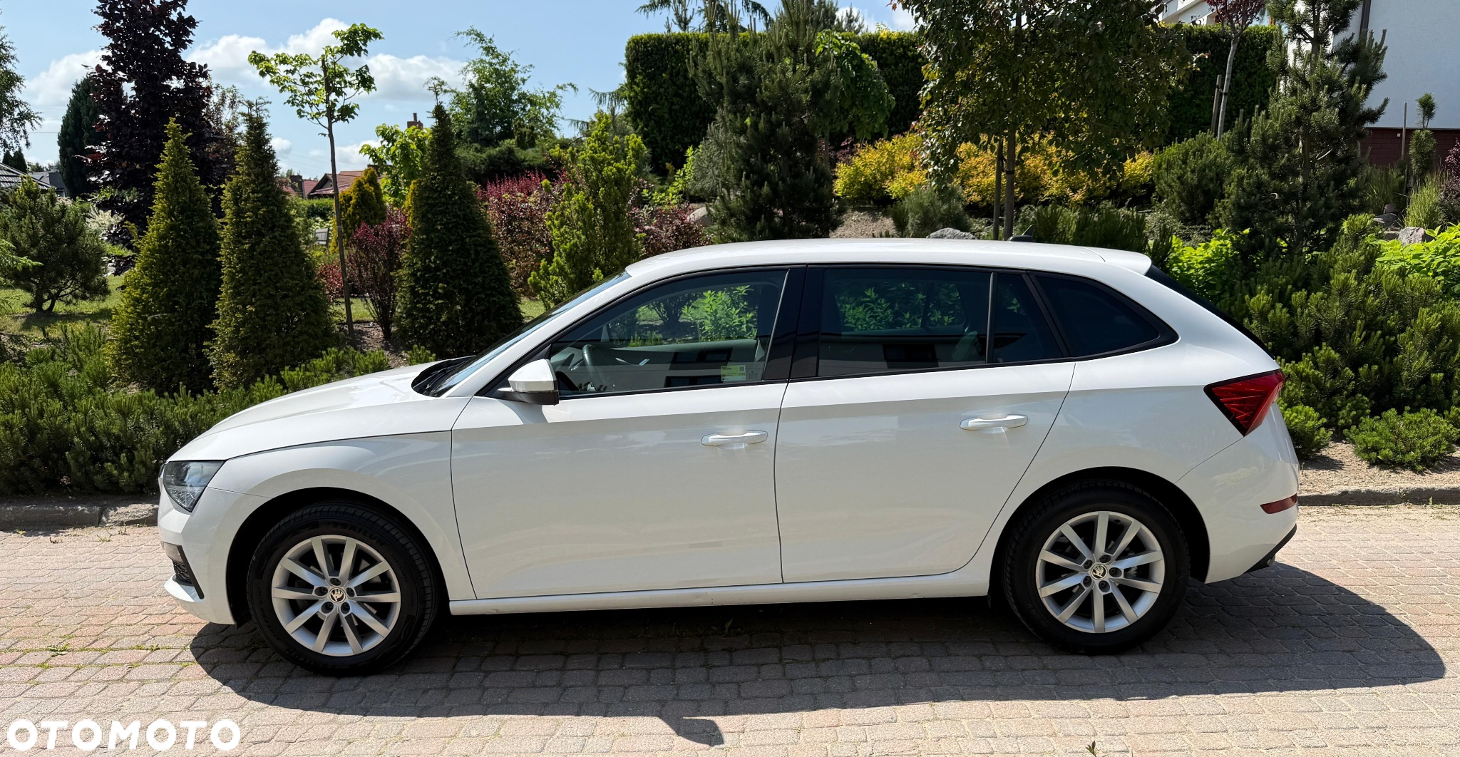 Skoda Scala - 7