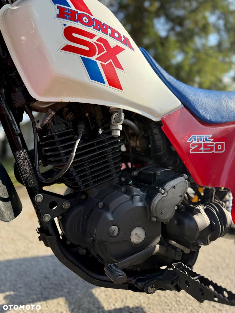 Honda FourTrax - 6