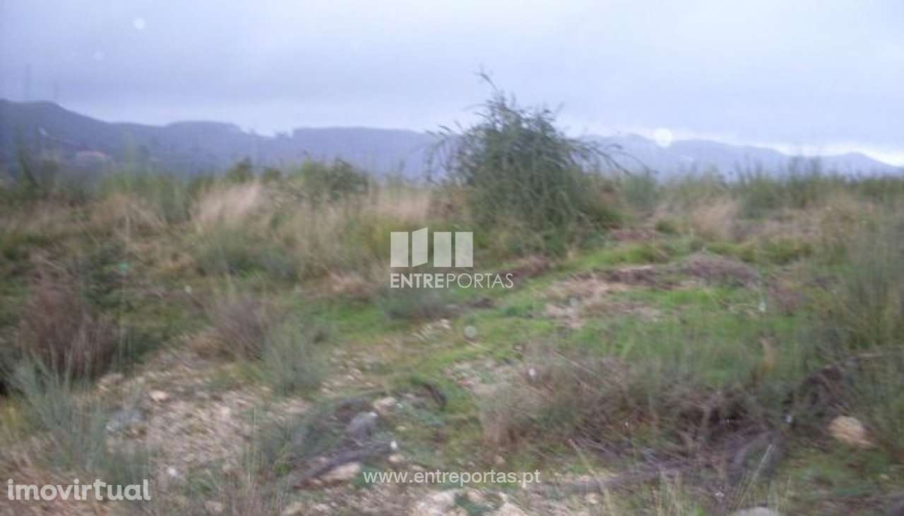 Venda Lote, Grilo, Baião - Grande imagem: 2/30