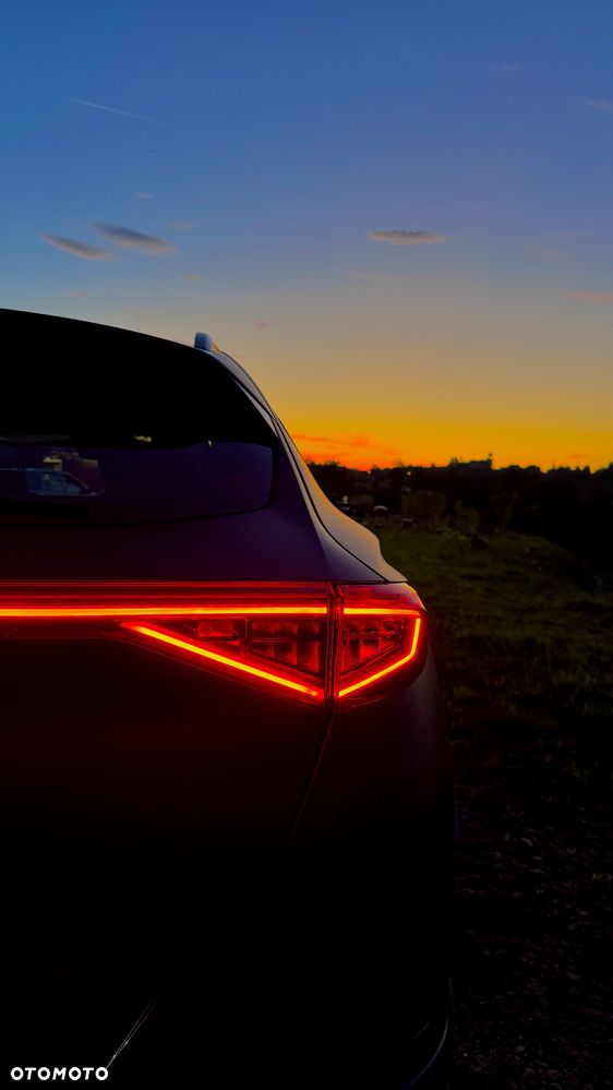 Cupra Formentor 2.0 TSI 4Drive DSG - 6