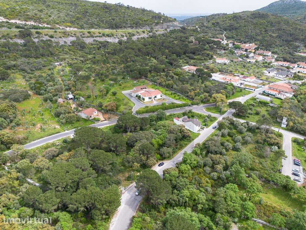 Lote para construção na Vila de Minde - Grande imagem: 3/10
