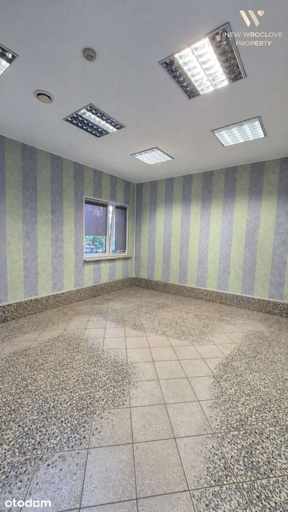 Lokal wolnostojący - Os. Sobieskiego/bez PCC/34mkw - Pełny obrazek: 4/7