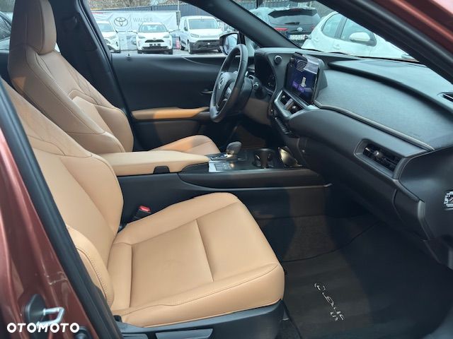 Lexus UX 300h F Sport Design AWD - 18