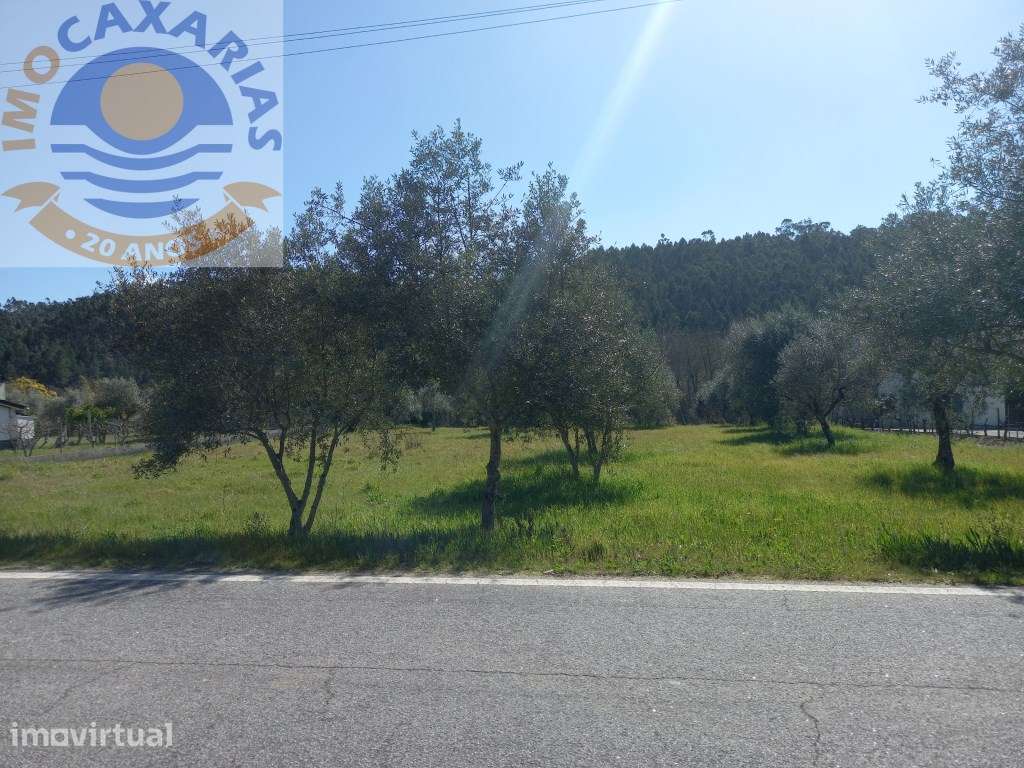 Terreno - Grande imagem: 4/8