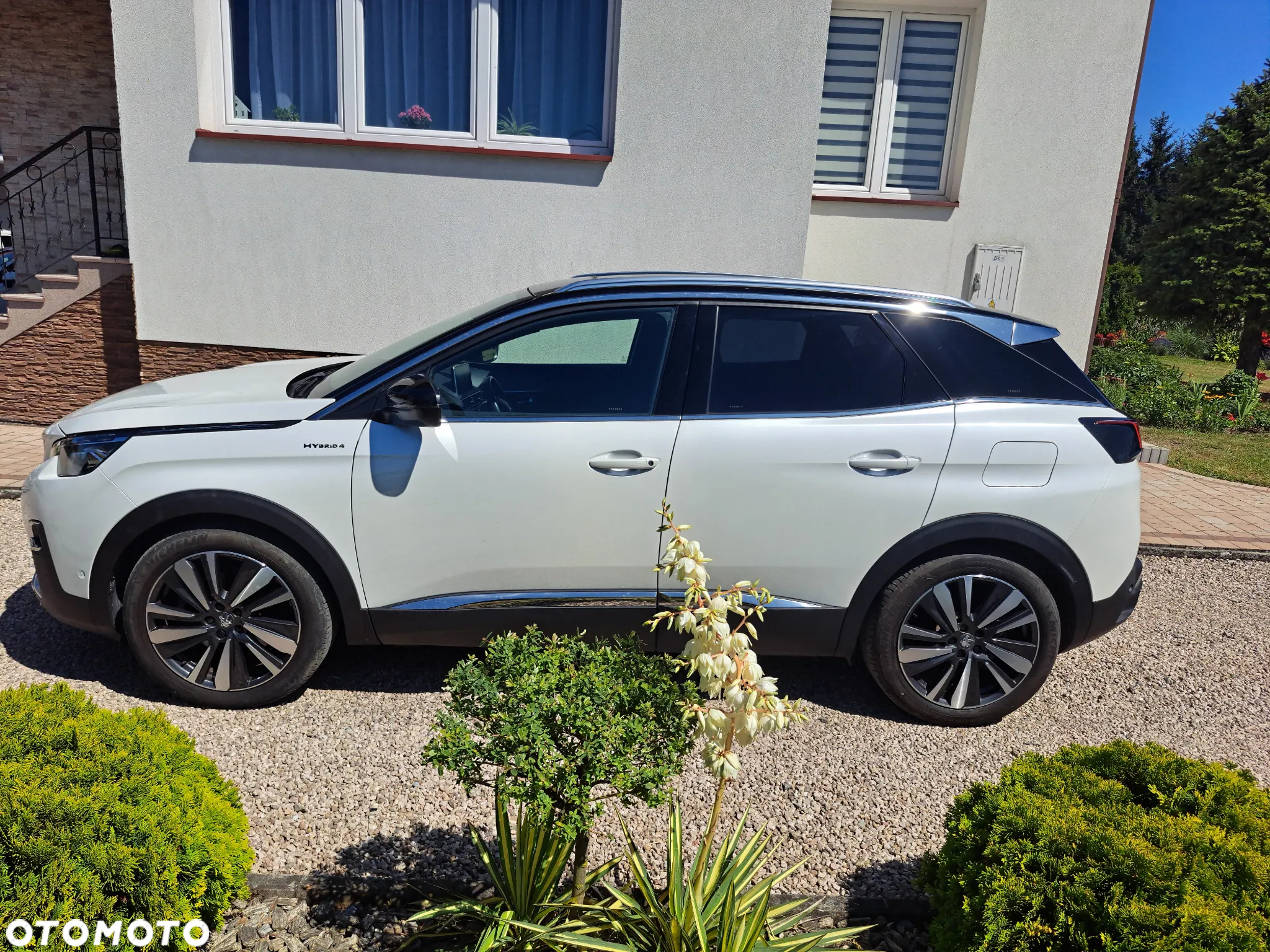 Peugeot 3008 Plug-In Hybrid4 300 e-EAT8 GT - 7