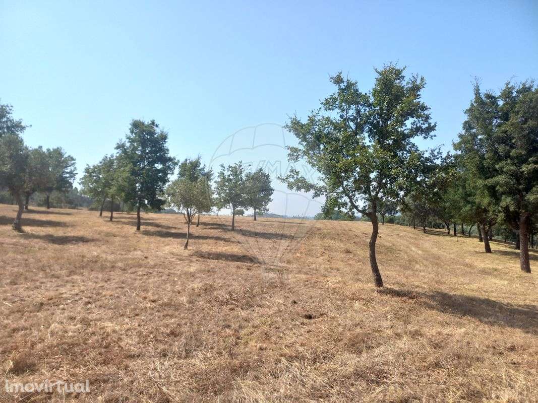 Terreno  para venda - Grande imagem: 4/13