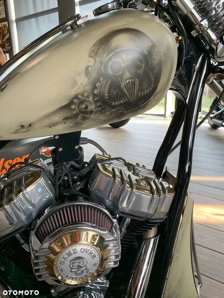 Harley-Davidson Softail - 3