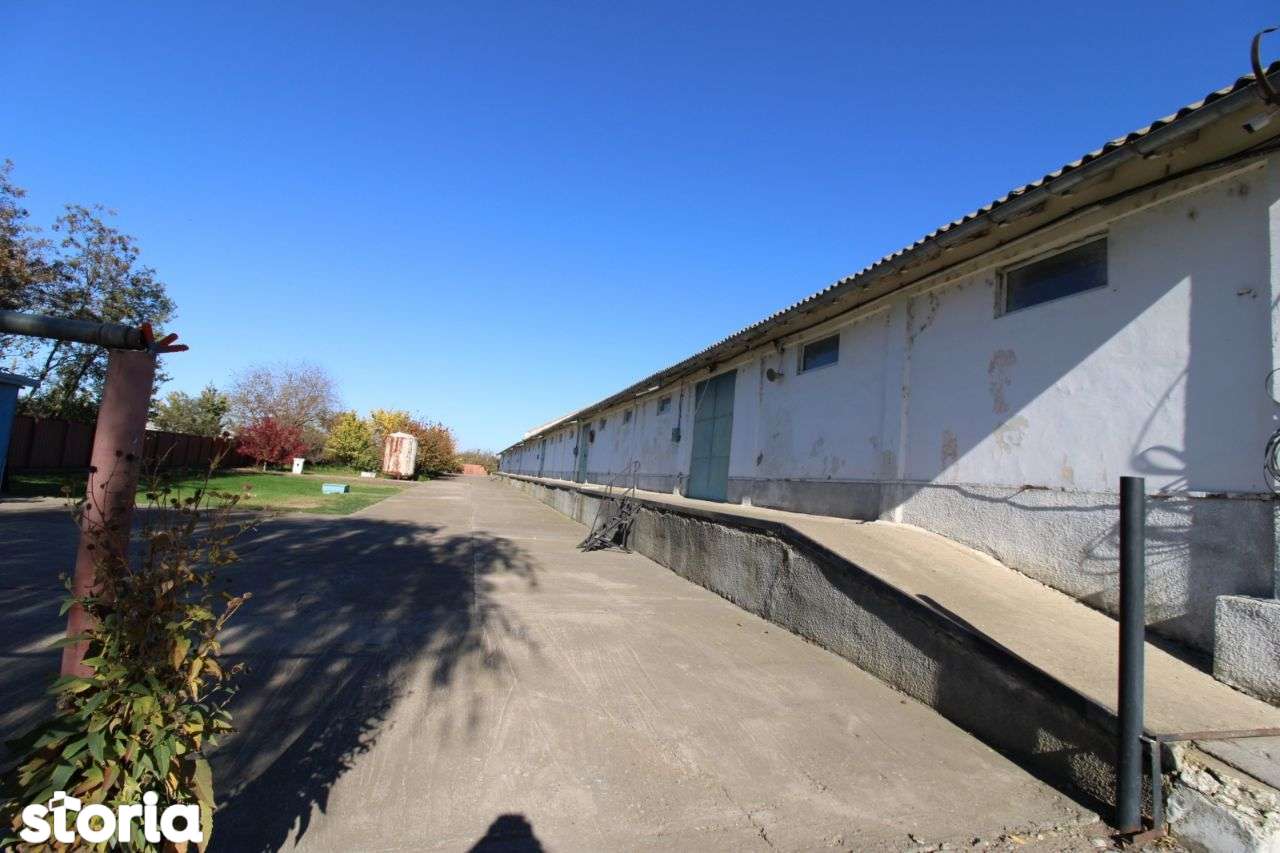 Hala in Independenta - Imagine principală: 2/7